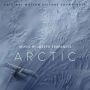 Soundtrack Arctic