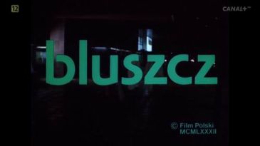 bluszcz