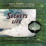 Soundtrack Secrets of Life