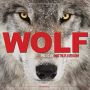 Soundtrack Wolf