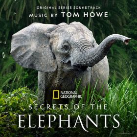 secrets_of_the_elephants