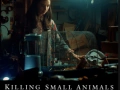 Soundtrack Killing Small Animals