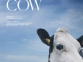 Soundtrack Krowa