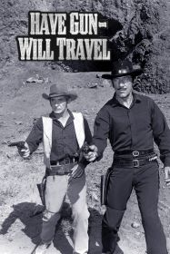 have_gun___will_travel