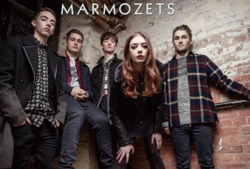 marmozets