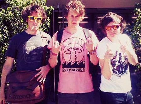 the_wombats